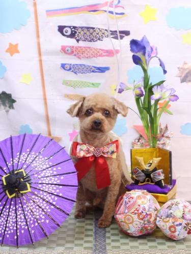 20240504マリンくん